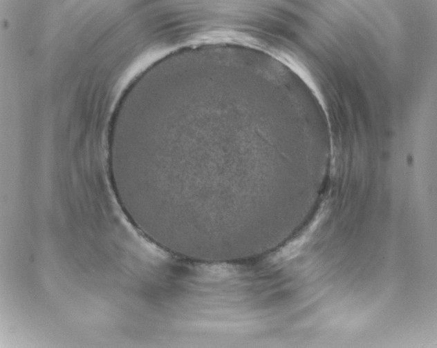 X0000088841045200706071415