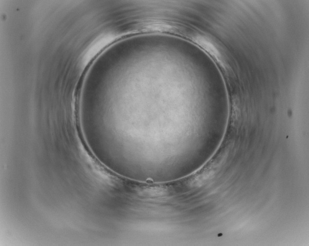 X0000088841047200706071415