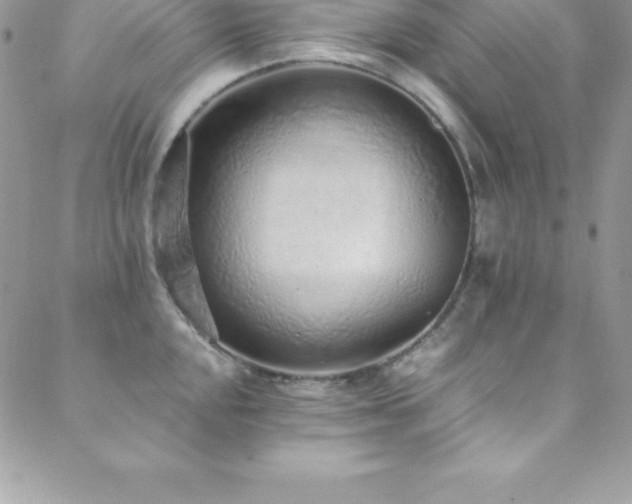 X0000088841048200706071415