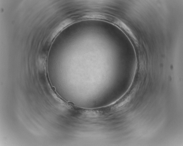 X0000088841049200706071415