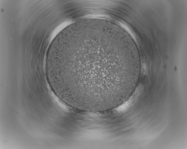 X0000088841050200706071415