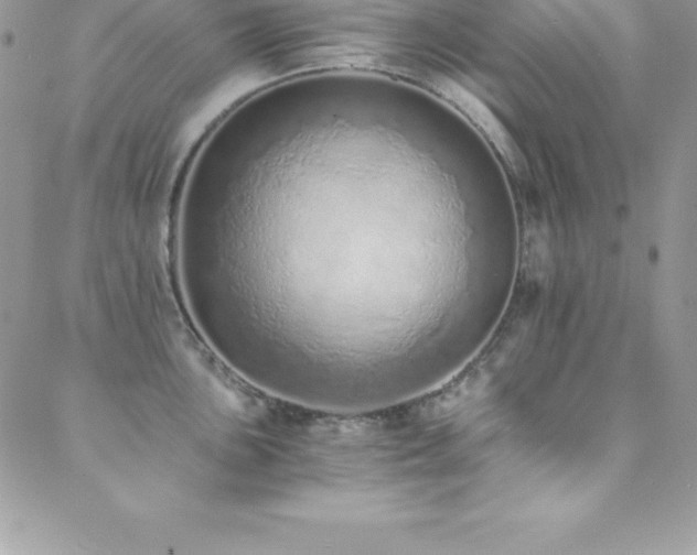 X0000088841051200706071415