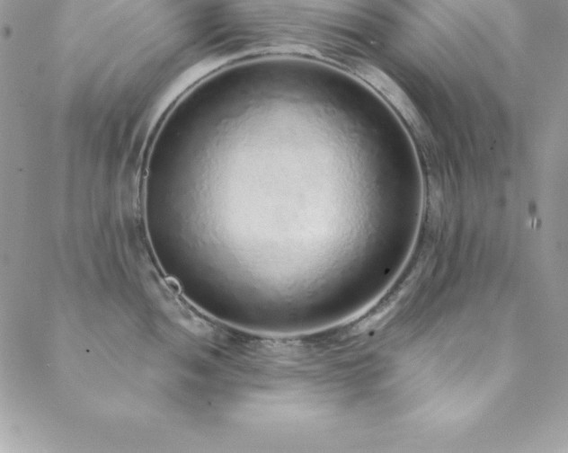 X0000088841052200706071415