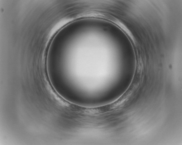 X0000088841053200706071415