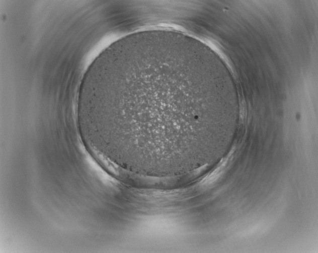 X0000088841054200706071415