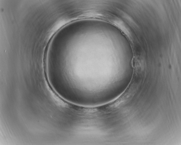 X0000088841055200706071415