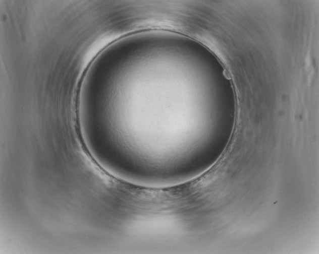 X0000088841056200706071415