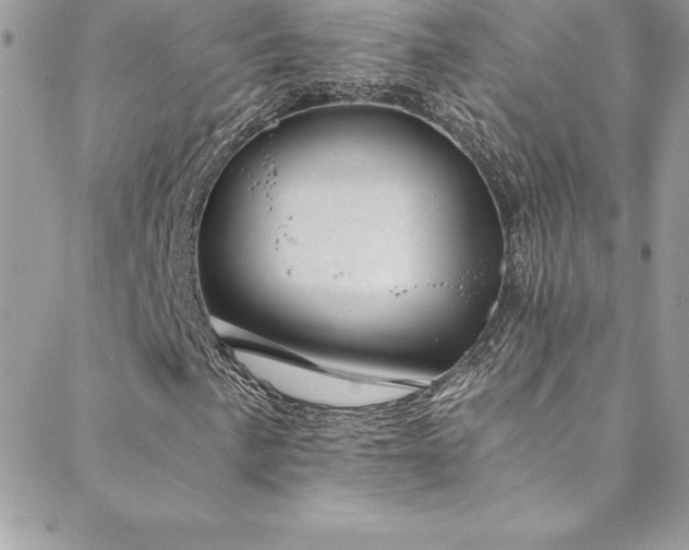 X0000088841057200706071414