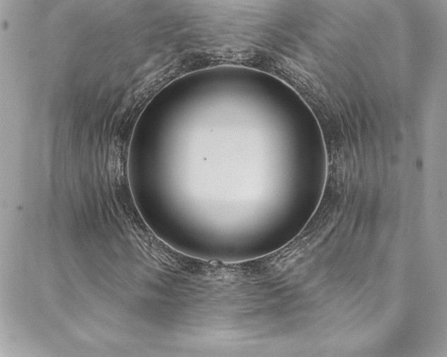 X0000088841058200706071414