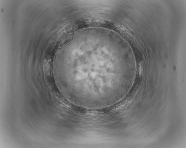 X0000088841059200706071414