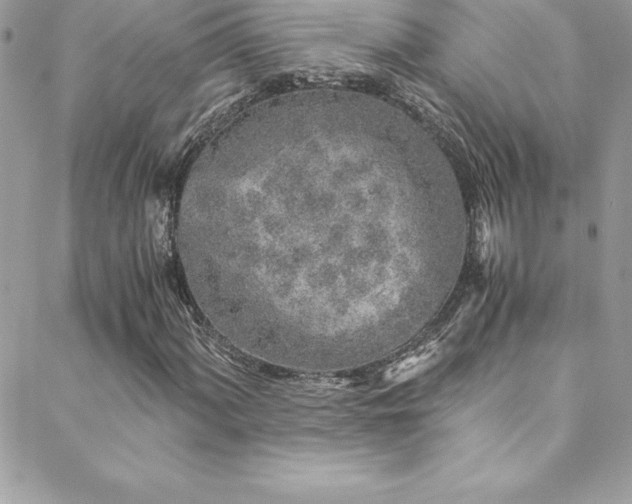 X0000088841060200706071414