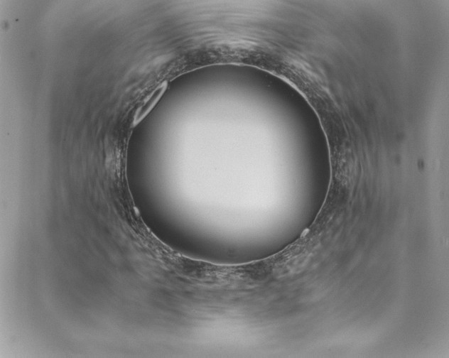 X0000088841061200706071414