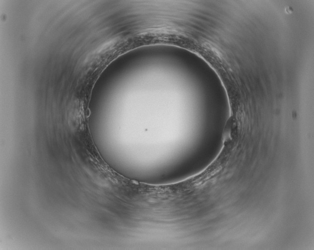 X0000088841062200706071414