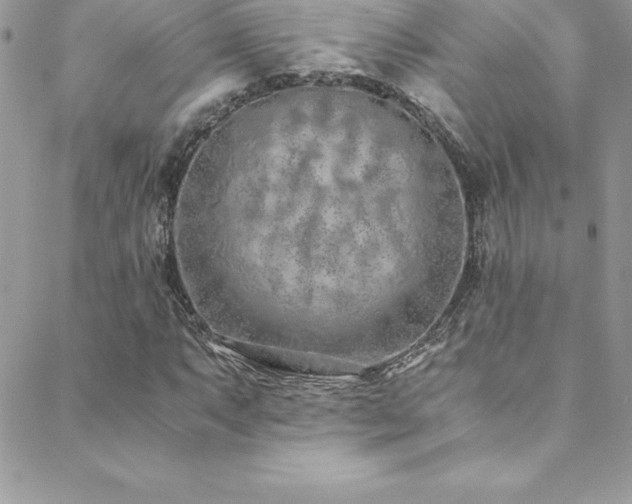 X0000088841063200706071414