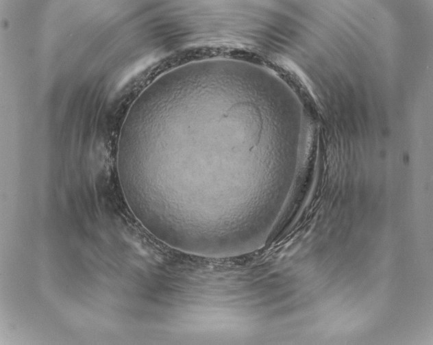 X0000088841064200706071414