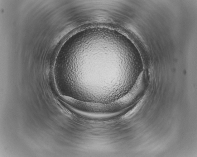 X0000088841065200706071414