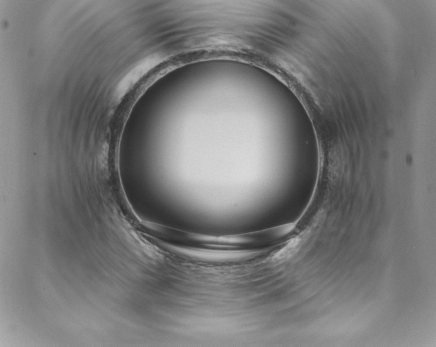 X0000088841066200706071414