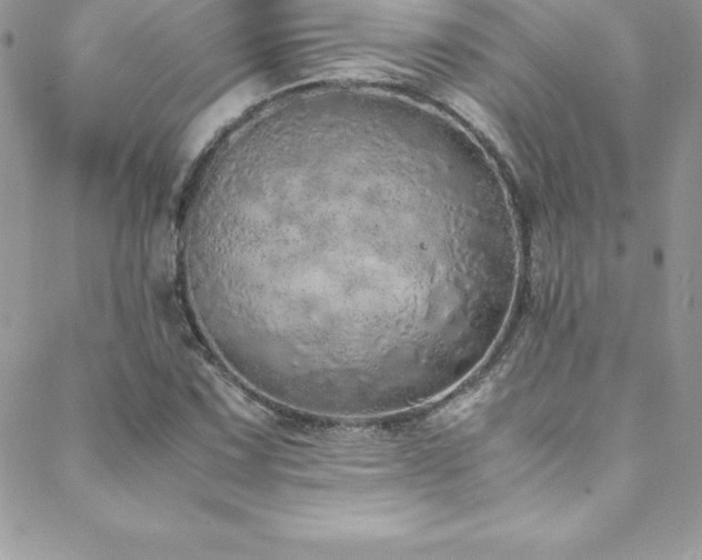 X0000088841067200706071414