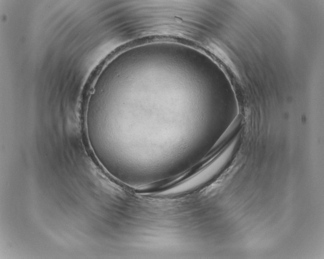 X0000088841068200706071414