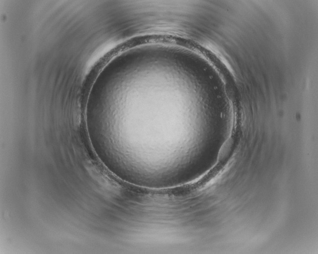 X0000088841069200706071414