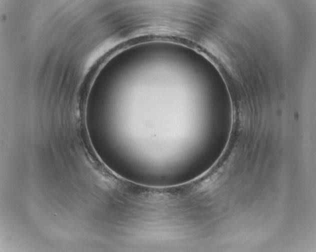 X0000088841070200706071414