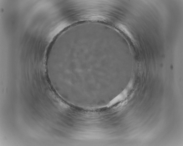 X0000088841071200706071414