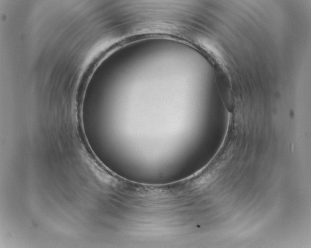 X0000088841072200706071414