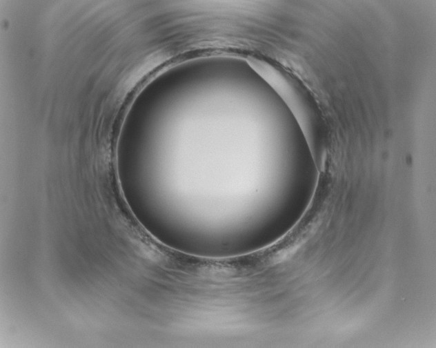 X0000088841073200706071414