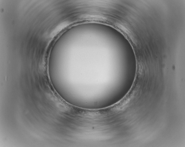 X0000088841074200706071414