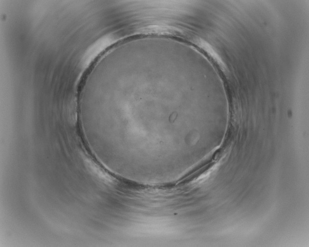 X0000088841075200706071414