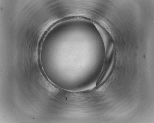 X0000088841076200706071414