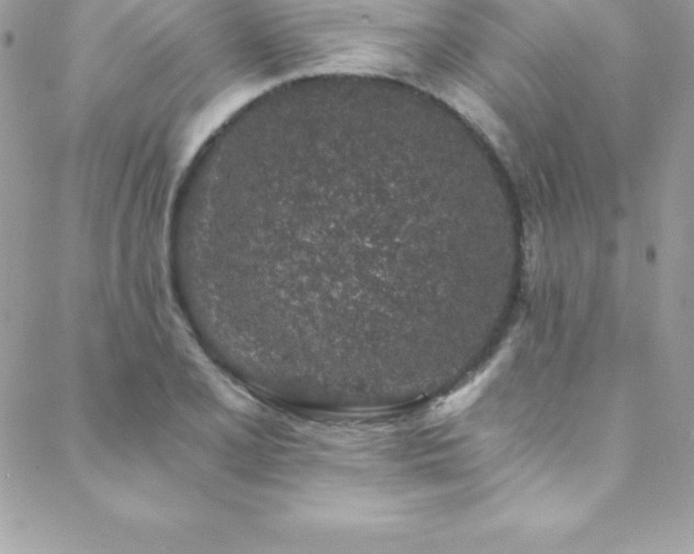 X0000088841077200706071414