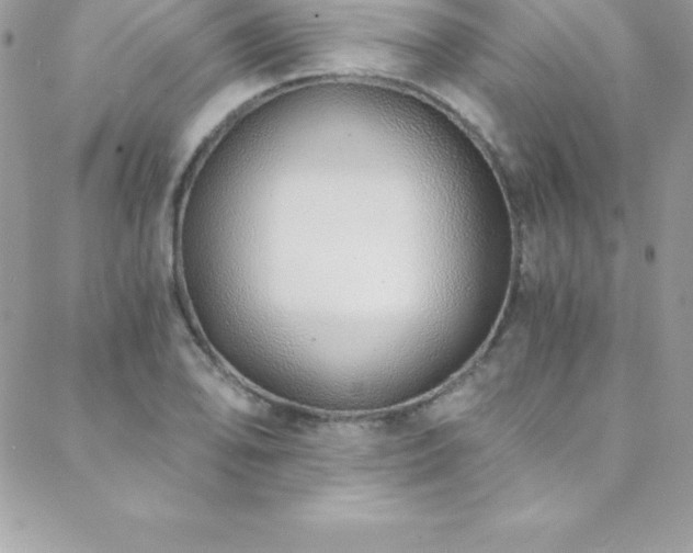 X0000088841078200706071414