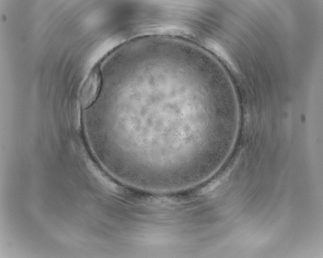 X0000088841079200706071414