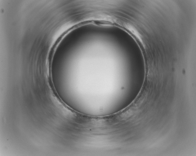 X0000088841080200706071414