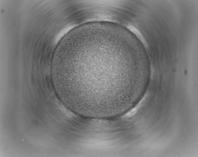 X0000088841081200706071414