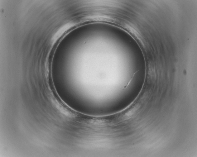 X0000088841082200706071414