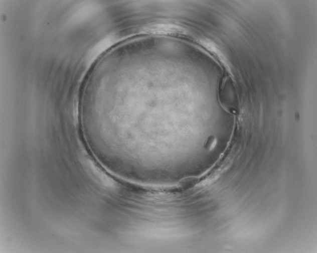 X0000088841083200706071414