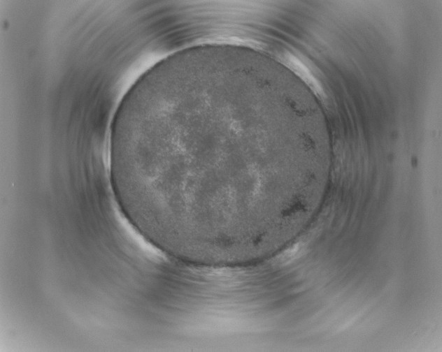 X0000088841084200706071414