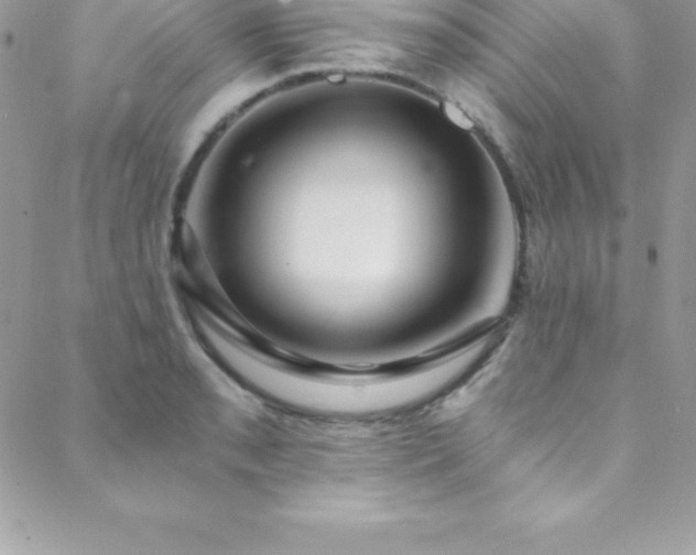 X0000088841085200706071414