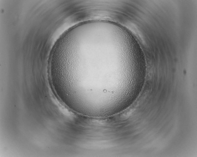 X0000088841086200706071414