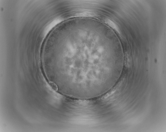 X0000088841087200706071414