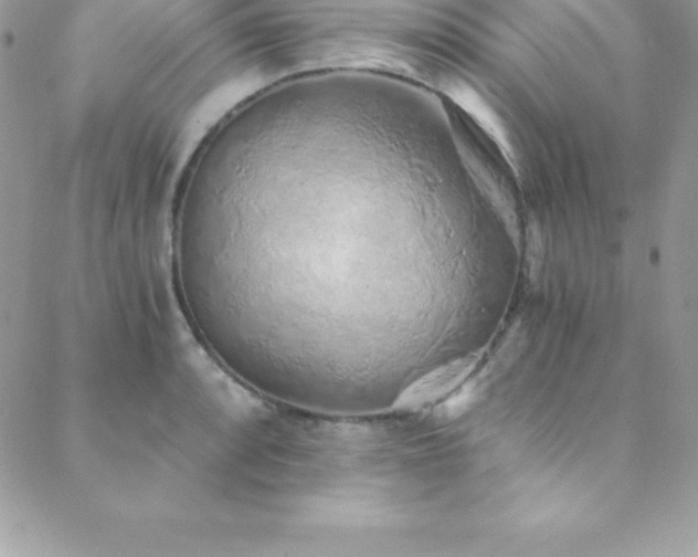 X0000088841088200706071414