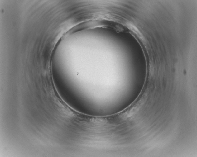 X0000088841089200706071414