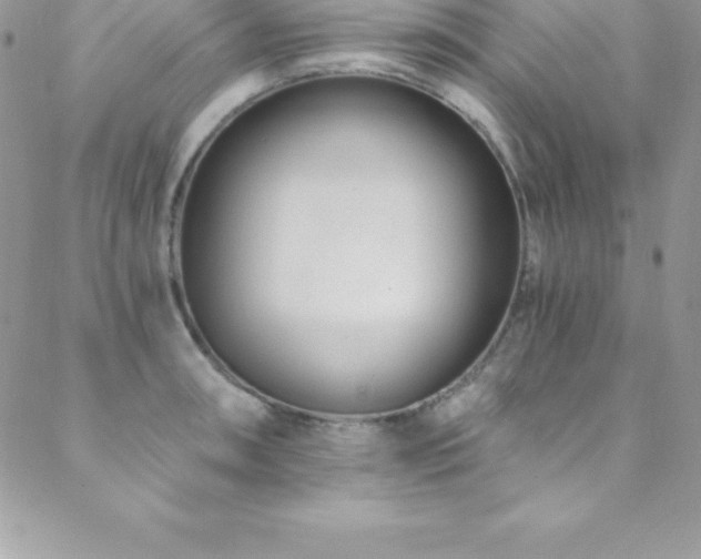 X0000088841090200706071414