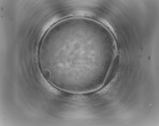 X0000088841091200706071414