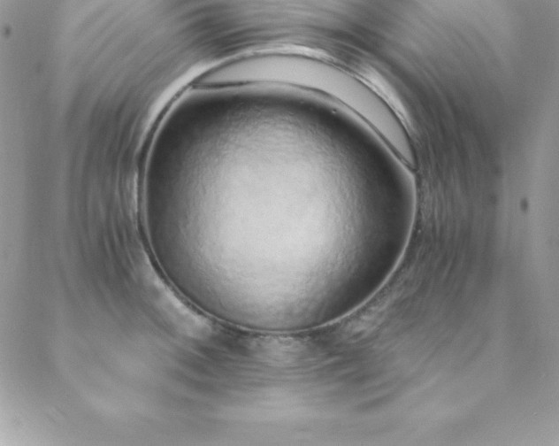 X0000088841092200706071414