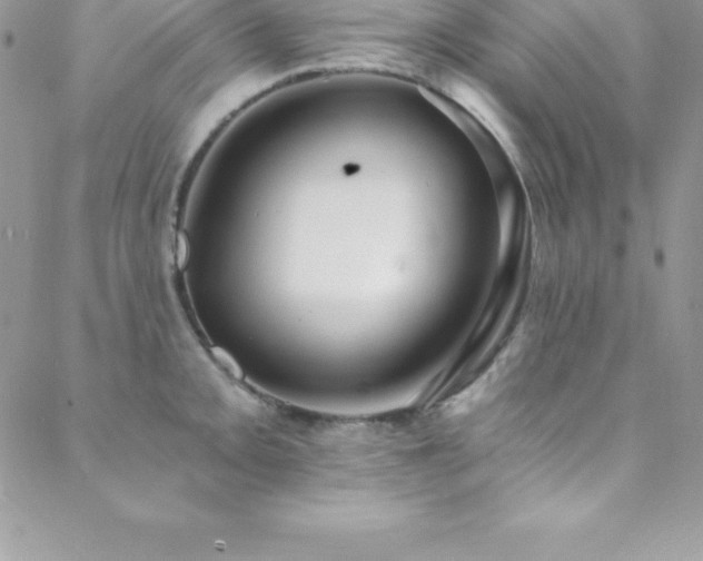 X0000088841093200706071414