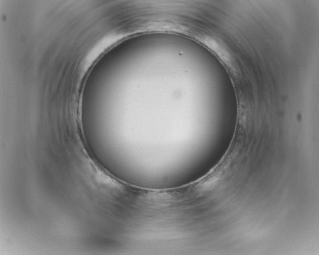 X0000088841094200706071414