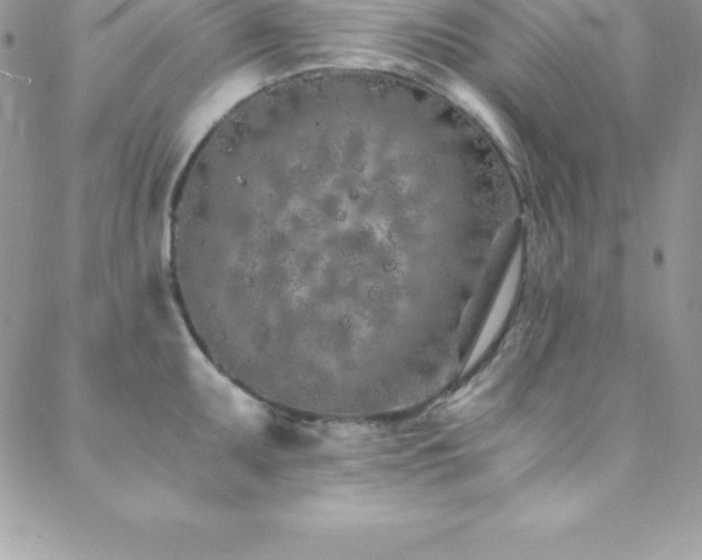 X0000088841095200706071414